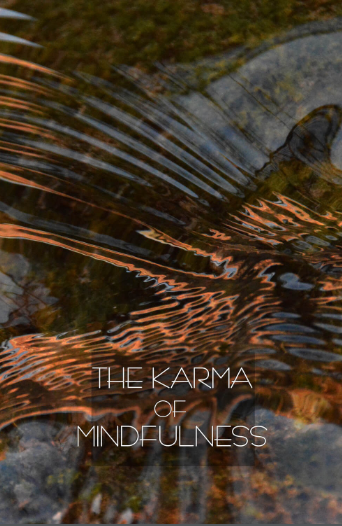  The Karma of Mindfulness